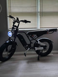 Fat-Tire E-Bike