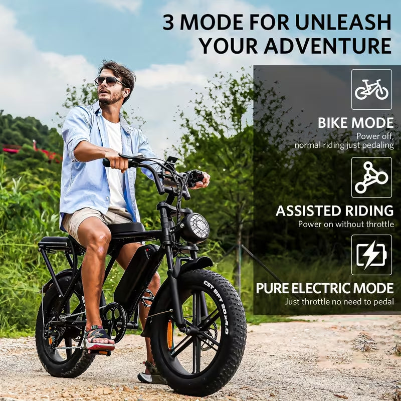 Fat-Tire E-Bike
