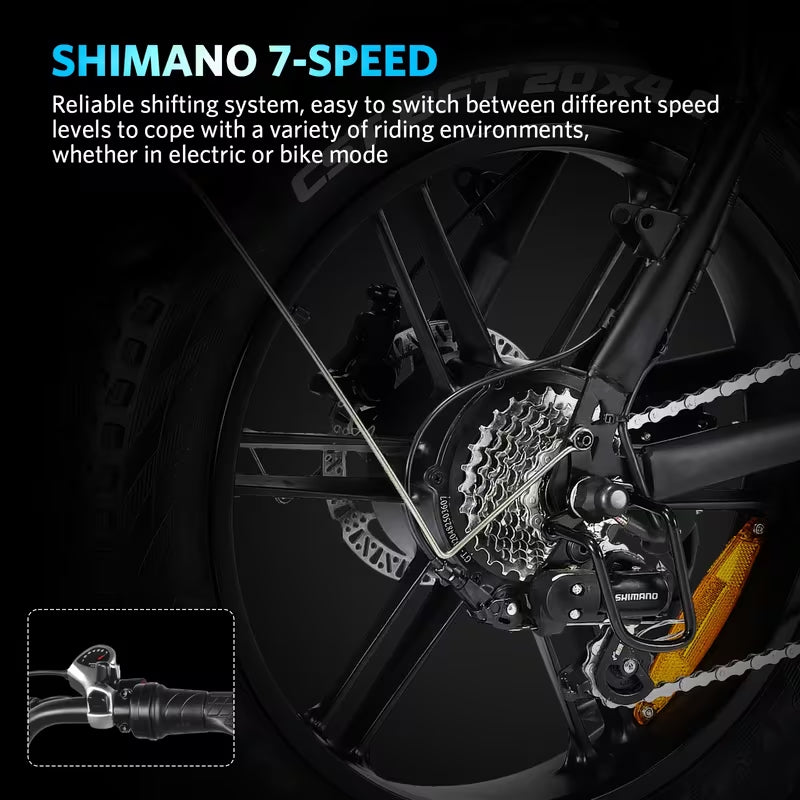 Fat-Tire E-Bike