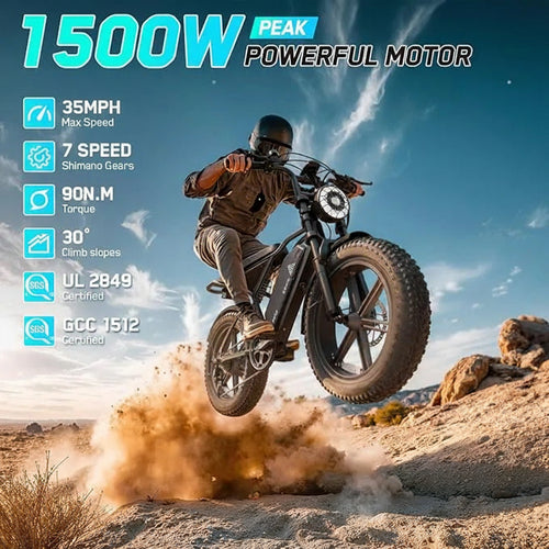 Fat-Tire E-Bike