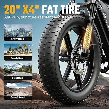 Fat-Tire E-Bike