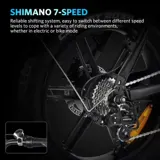 Fat-Tire E-Bike photo 11