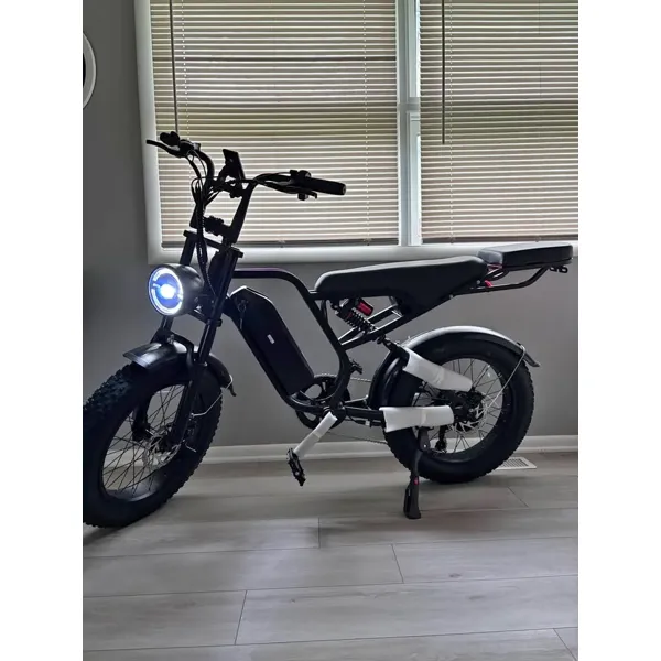 Fat-Tire Electric Bike – 1620W, 2-Seat, 7-Speed